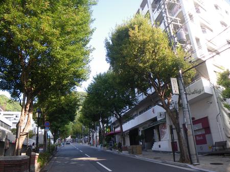 北野坂の街路樹