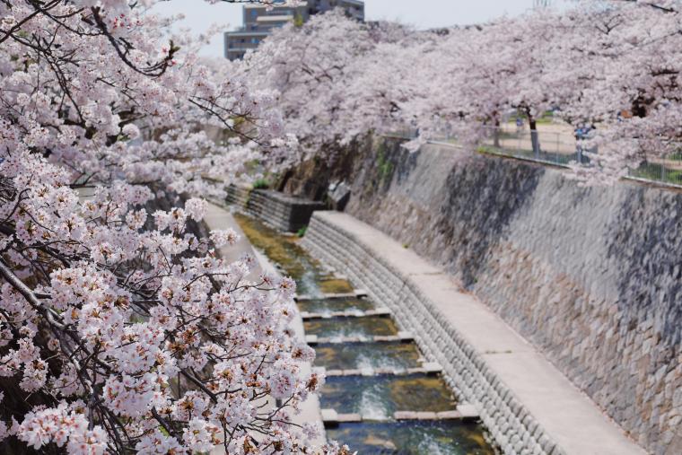 妙法寺川公園