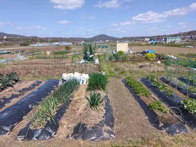 堅田ふれあい